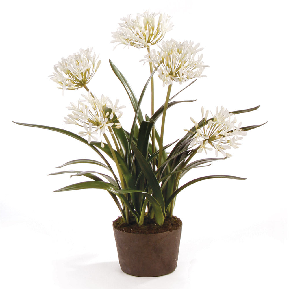 AGAPANTHUS DROP-IN 29" - The Nifty Decor