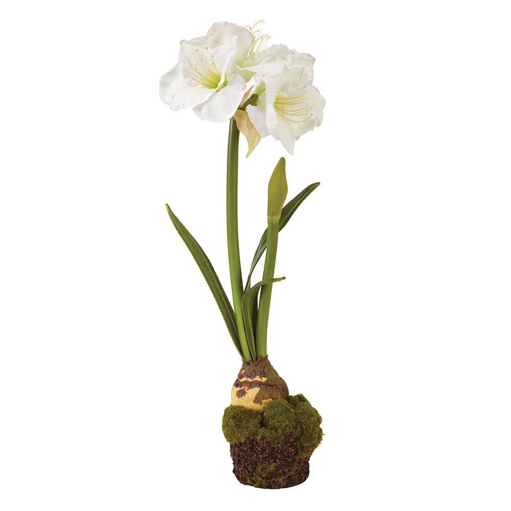 AMARYLLIS DROP-IN 29" - The Nifty Decor