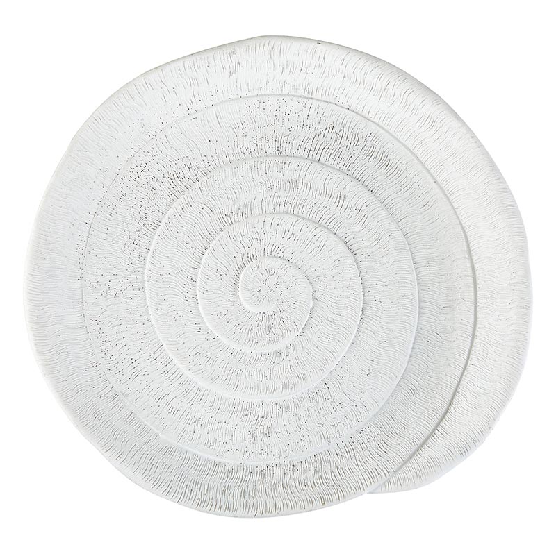 Matte White Shell Decor, In increment of 2 - Bombay Mercantile