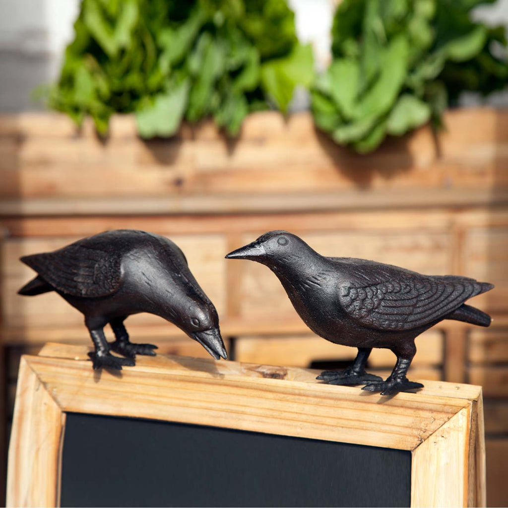 Cast Iron Crows, Set of 2, Assorted Styles - The Nifty Decor