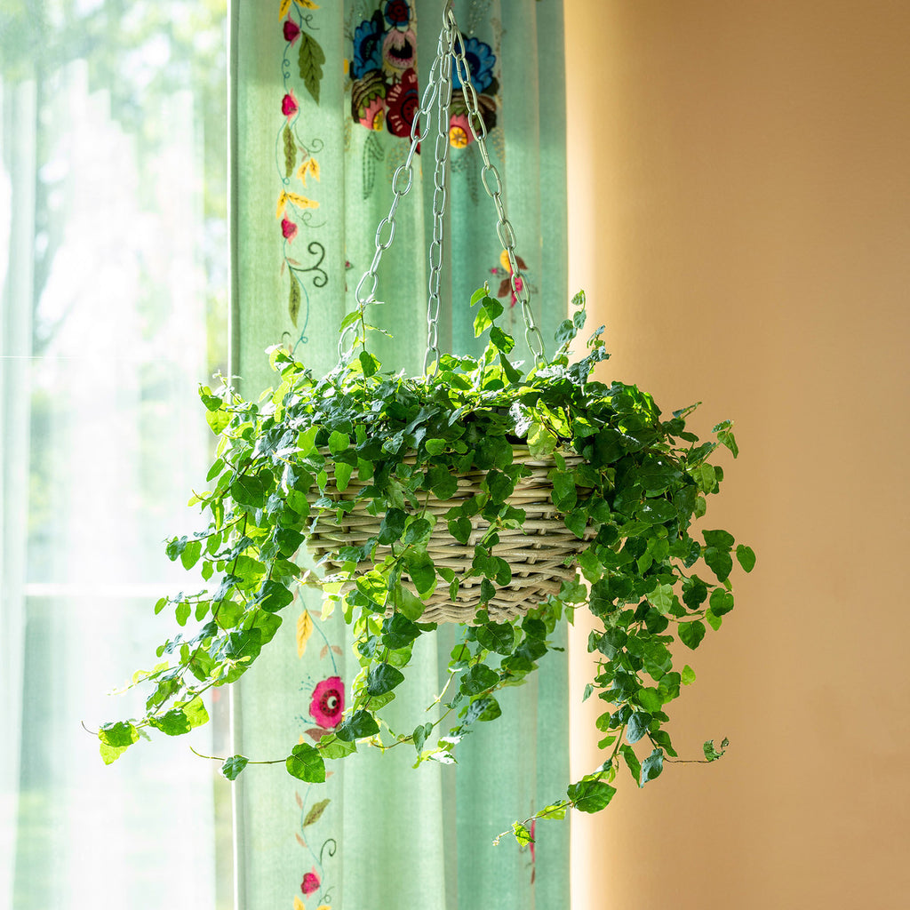 Rattan Hanging Planter Medium - Bombay Mercantile