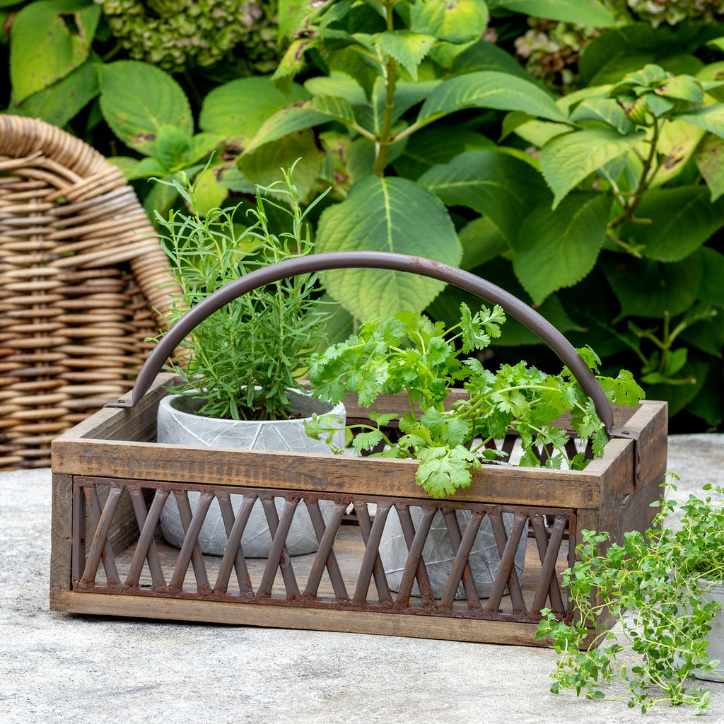 Iron Lattice Garden Trug - Bombay Mercantile