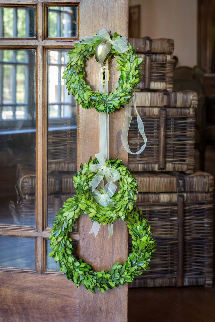 Preserved Boxwood Wreaths with Ivory Ribbon - Bombay Mercantile