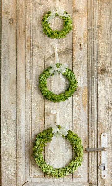Preserved Boxwood Wreaths with Ivory Ribbon - Bombay Mercantile