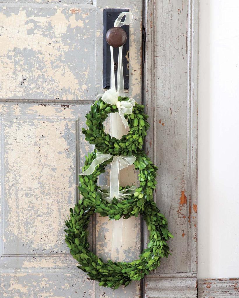 Preserved Boxwood Wreaths with Ivory Ribbon - Bombay Mercantile