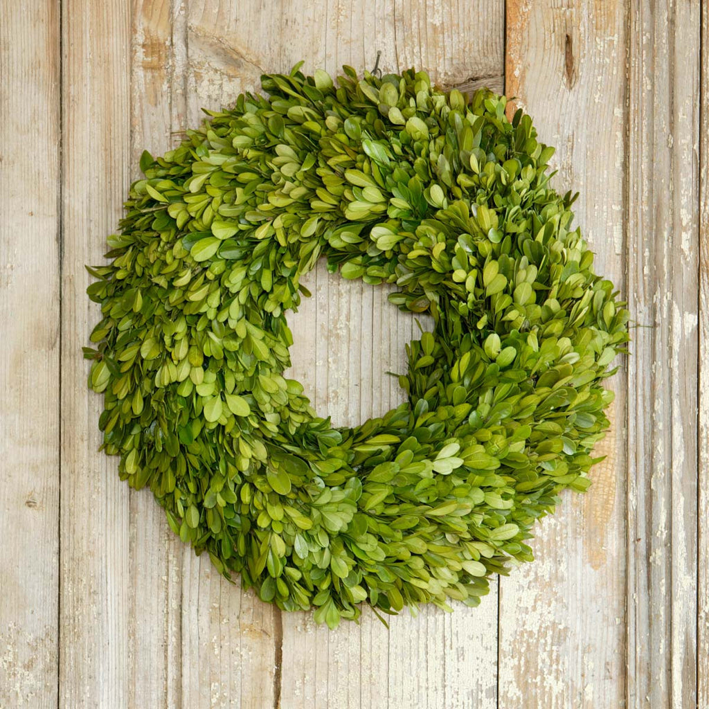 Preserved Boxwood Wreath - Bombay Mercantile
