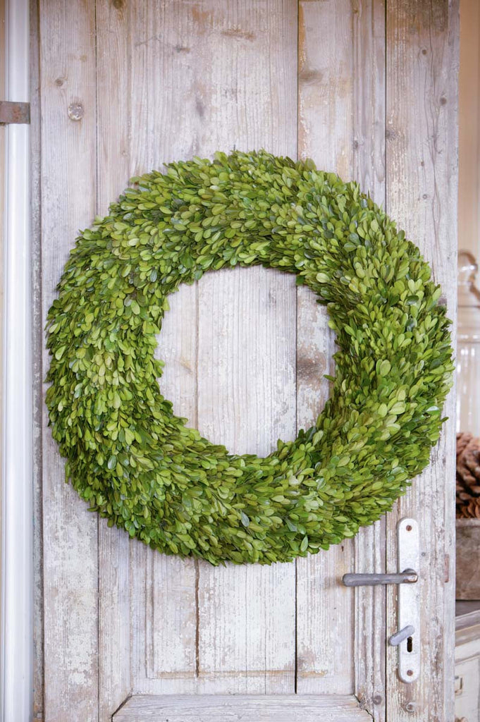 Preserved Boxwood Wreath - Bombay Mercantile
