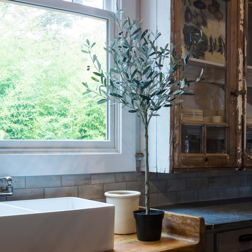 Potted Olive Topiary - Bombay Mercantile