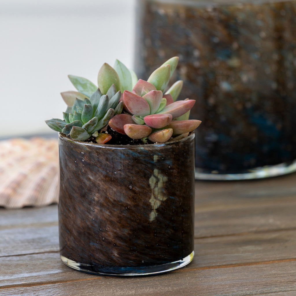 Serena Glass Cylinder - Bombay Mercantile