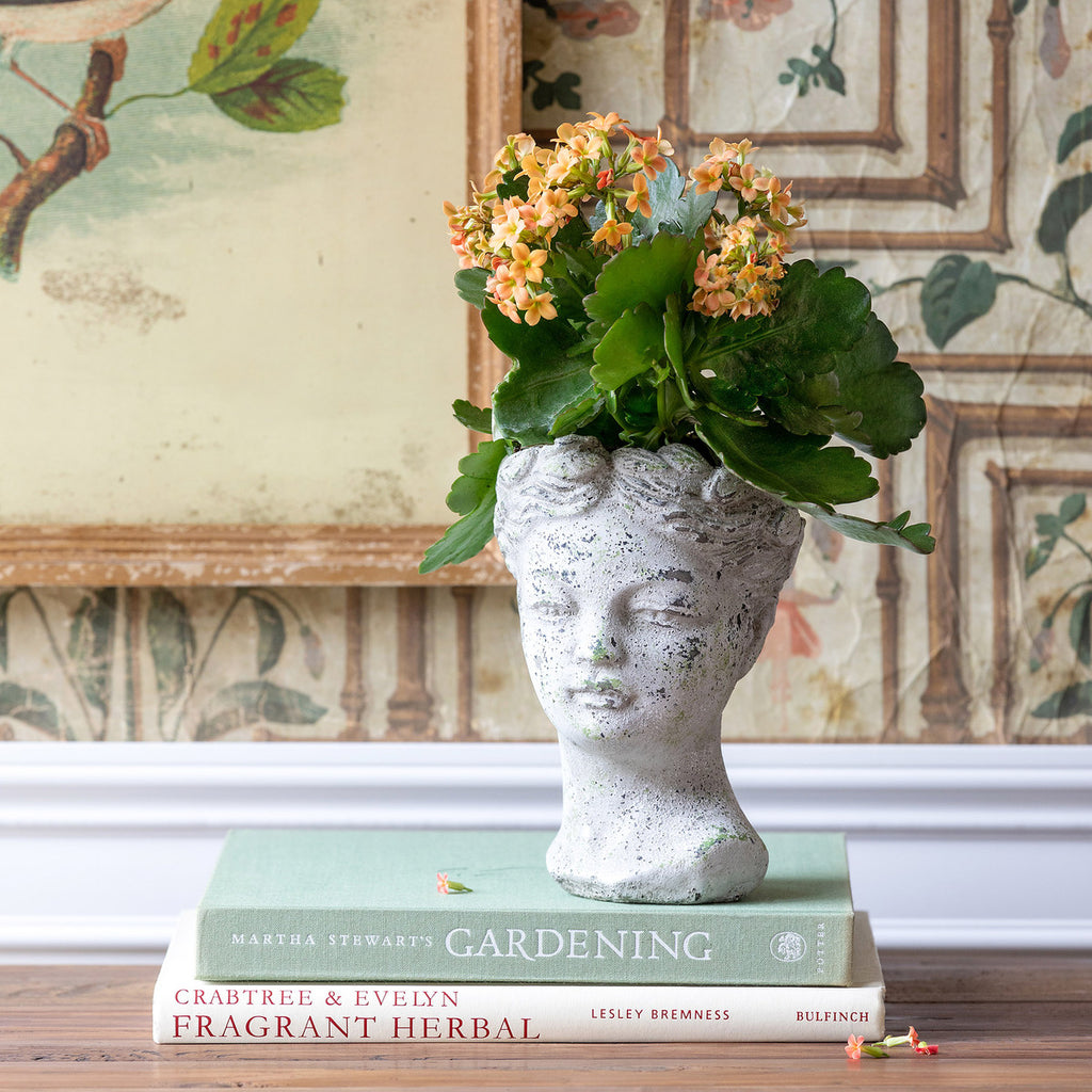 Concrete Bust Planter - Bombay Mercantile