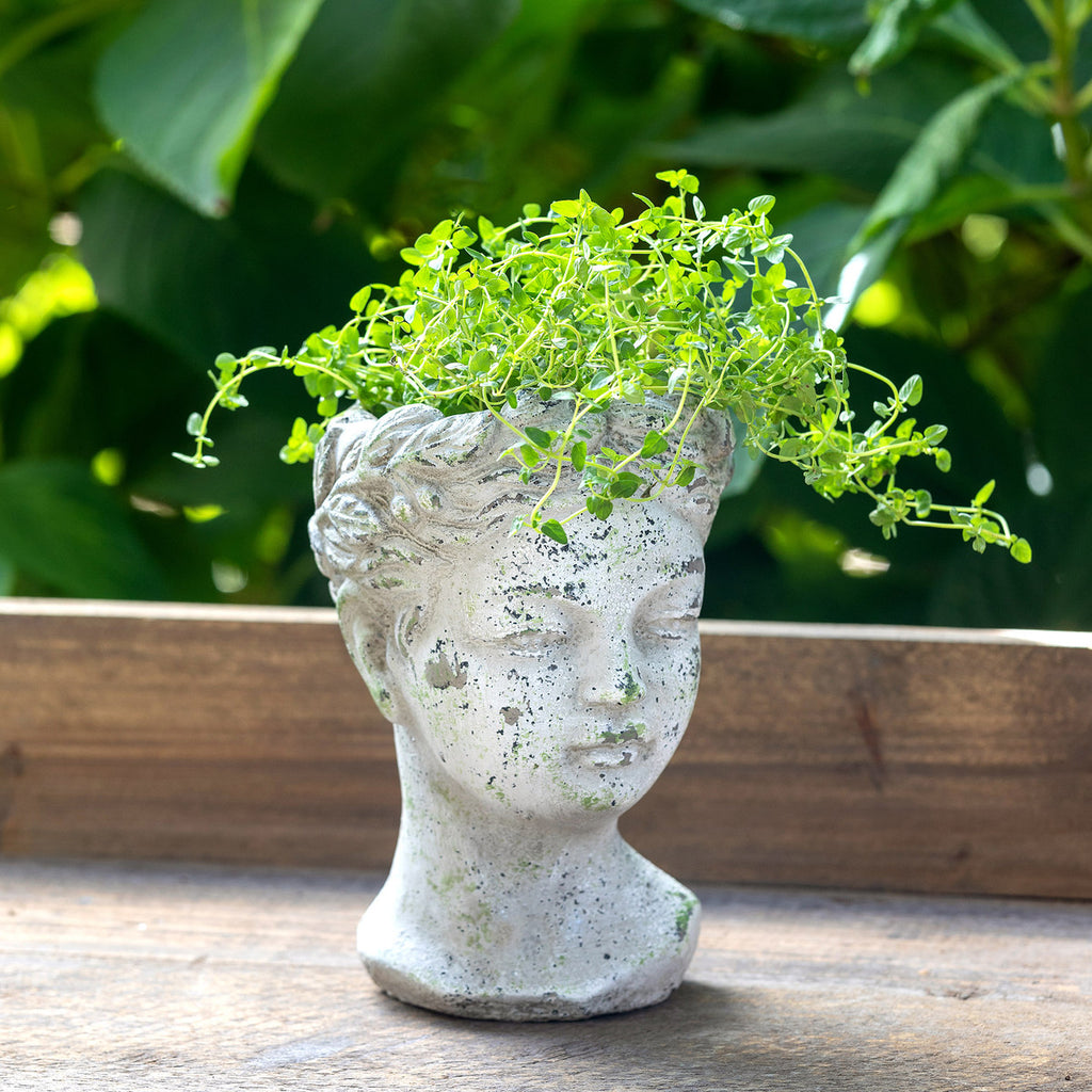 Concrete Bust Planter - Bombay Mercantile