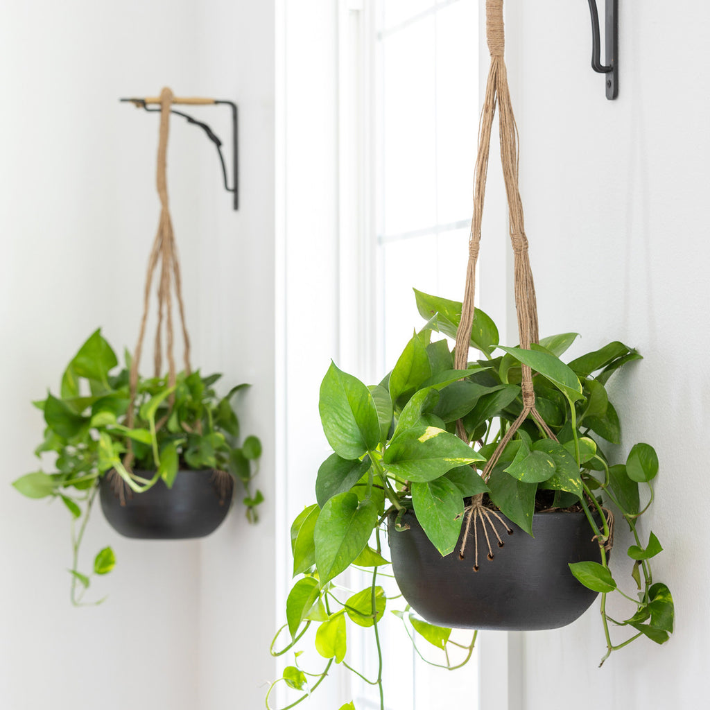 Terra Cotta Woven Hanging Bowl - Bombay Mercantile