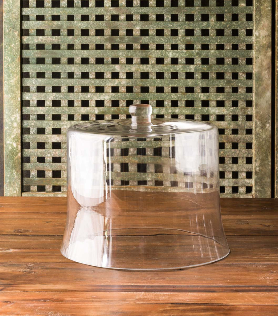 Estate Glass Cloche - Bombay Mercantile