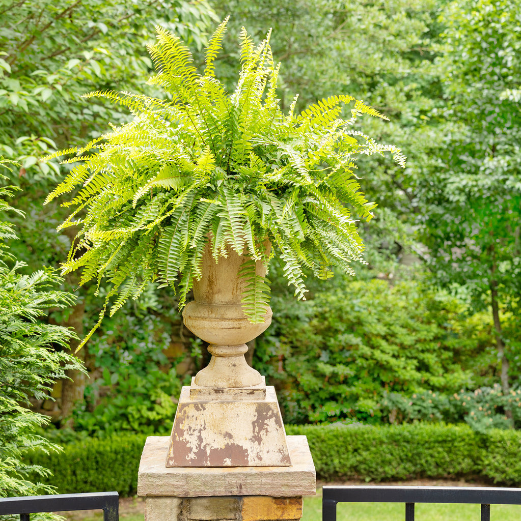 Aged Metal Entry Urn - The Nifty Decor