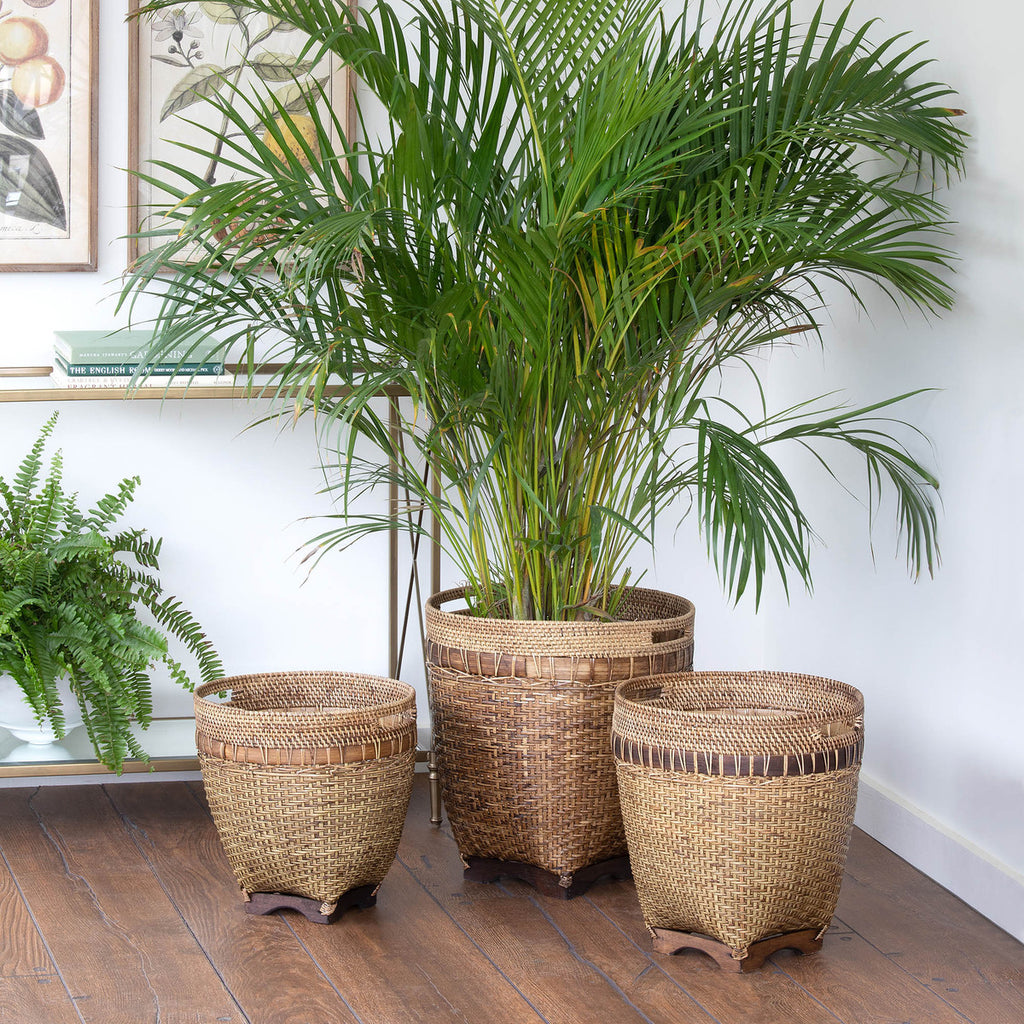 Lombok Rattan Baskets - Bombay Mercantile