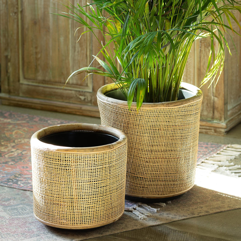 Woven Rattan Plant Basket, 14" - Bombay Mercantile