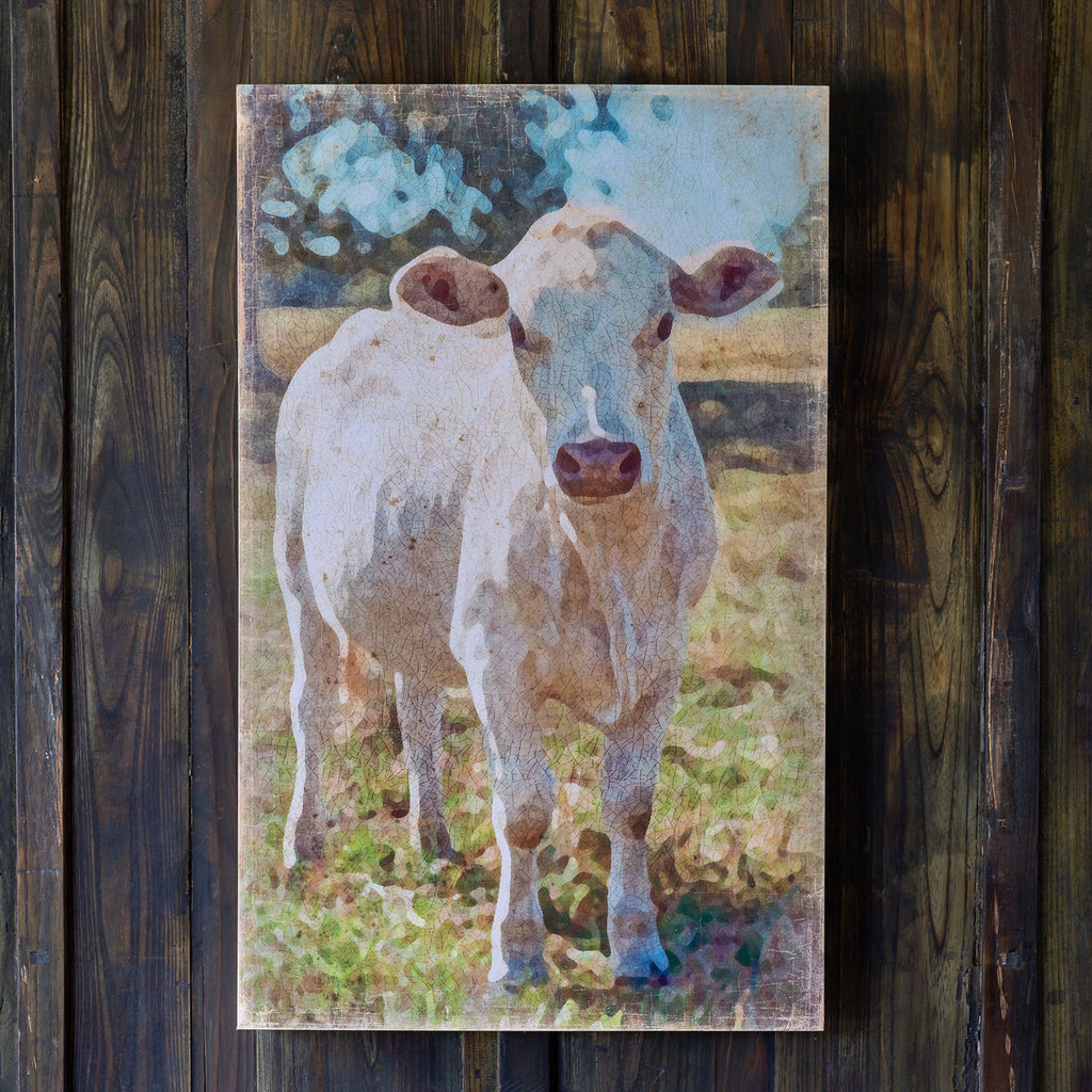 Cow Canvas Print - The Nifty Decor
