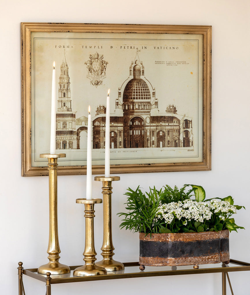 Vaticano Architectural Drawing Framed Print - Bombay Mercantile