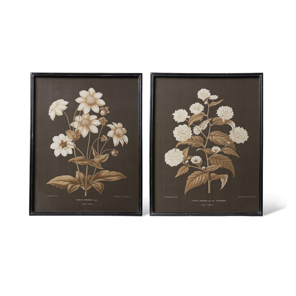 Garden Floral Botanical Framed Print - Bombay Mercantile