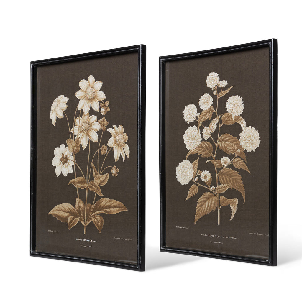 Garden Floral Botanical Framed Print - Bombay Mercantile