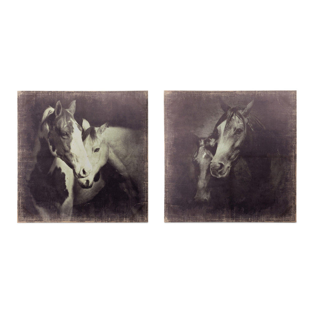 "Unbridled" Canvas Prints - Bombay Mercantile