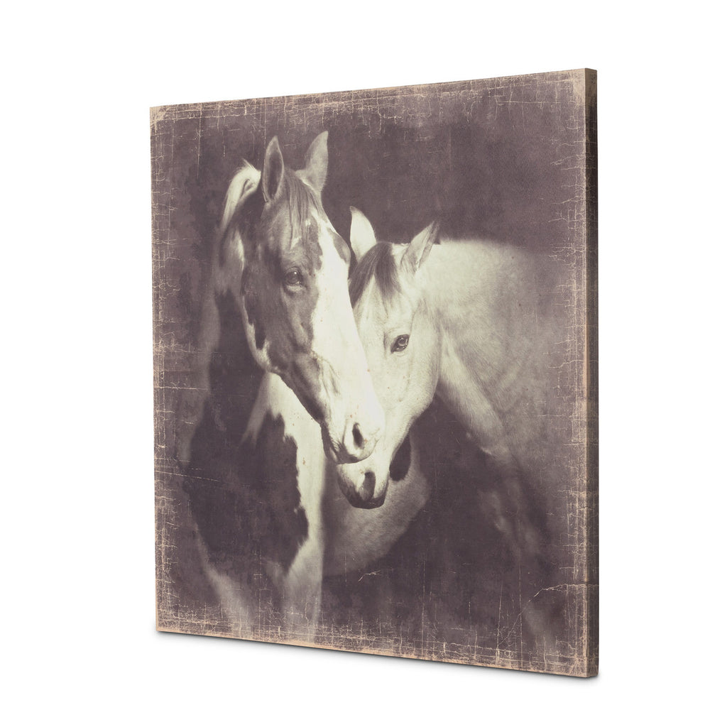 "Unbridled" Canvas Prints - Bombay Mercantile