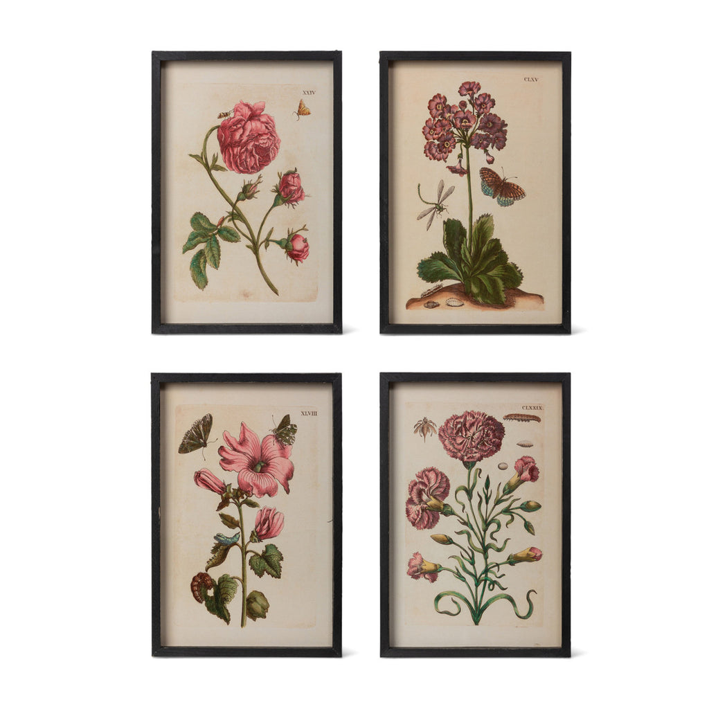 Jardin Boheme Botanical Prints, 4 Assorted Styles - Bombay Mercantile