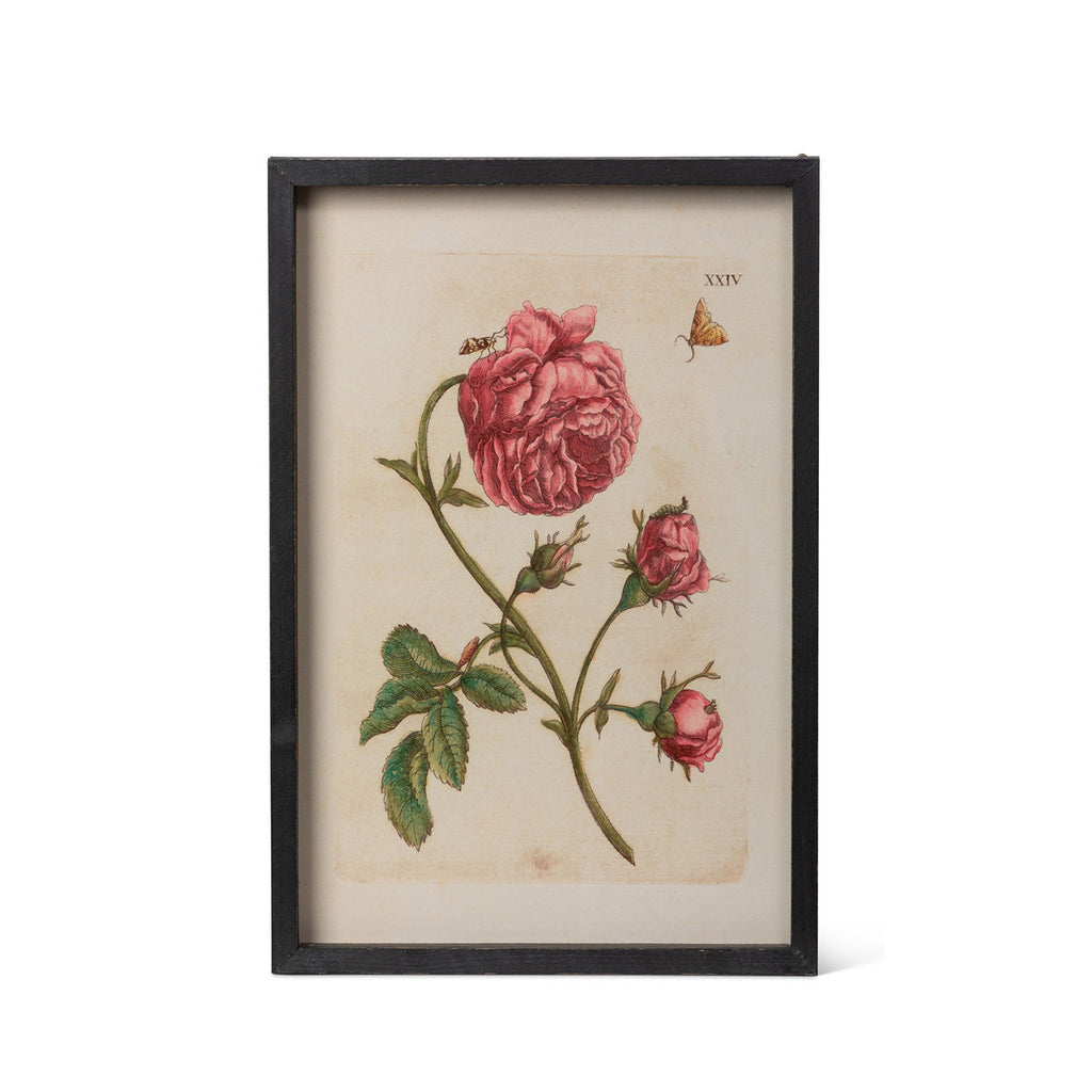 Jardin Boheme Botanical Prints, 4 Assorted Styles - Bombay Mercantile
