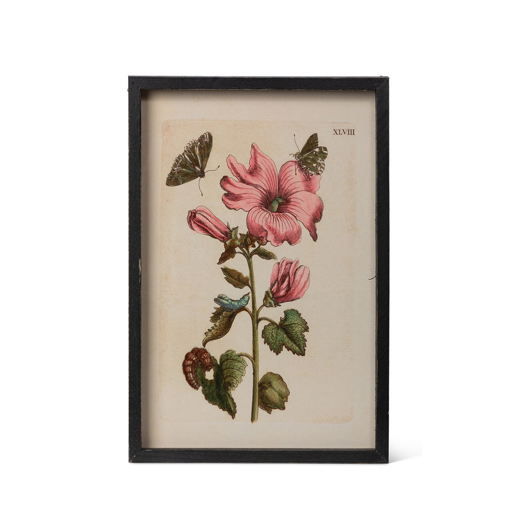 Jardin Boheme Botanical Prints, 4 Assorted Styles - Bombay Mercantile