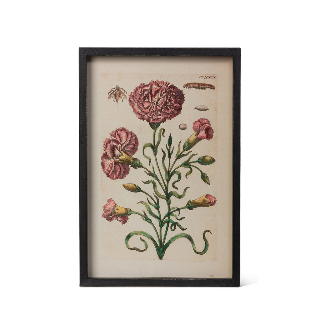 Jardin Boheme Botanical Prints, 4 Assorted Styles - Bombay Mercantile