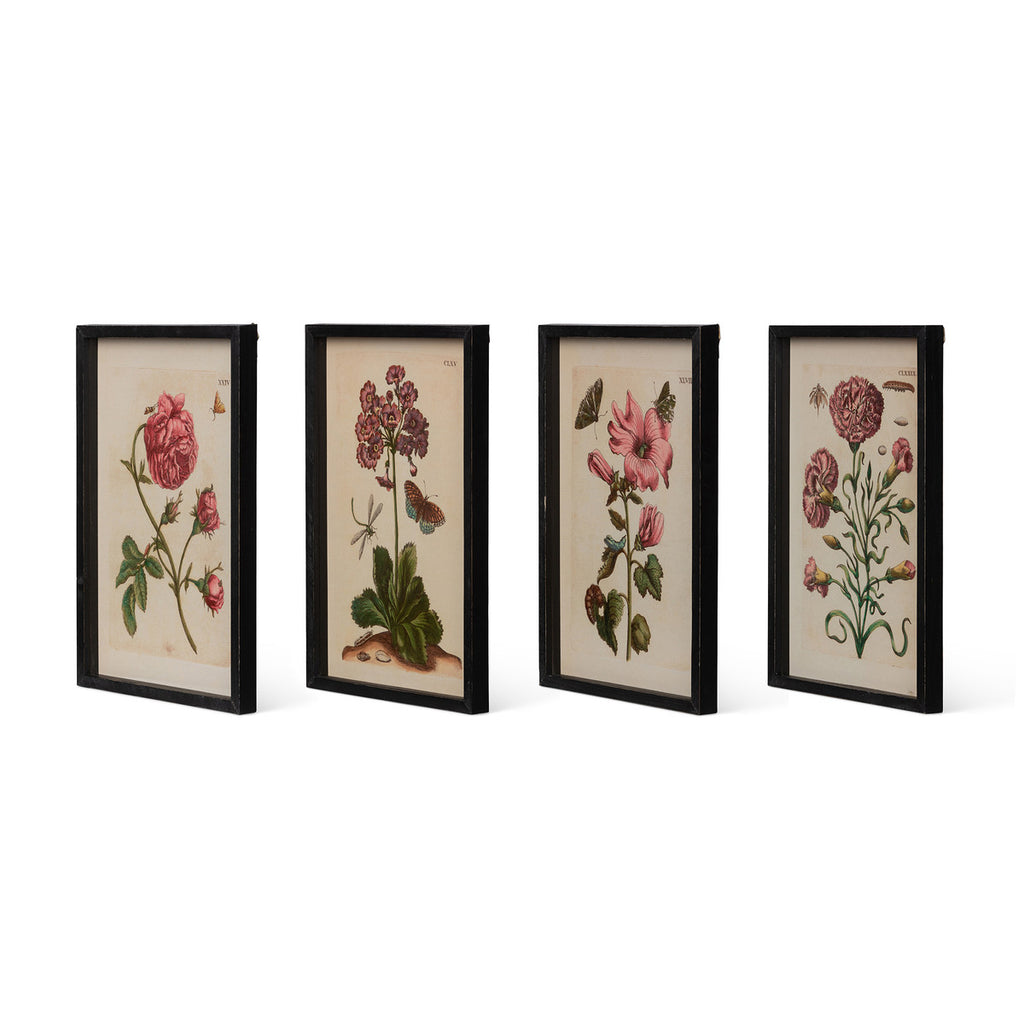 Jardin Boheme Botanical Prints, 4 Assorted Styles - Bombay Mercantile