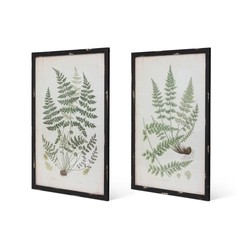 Botanical Study Fern Prints, 2 Assorted Styles - Bombay Mercantile