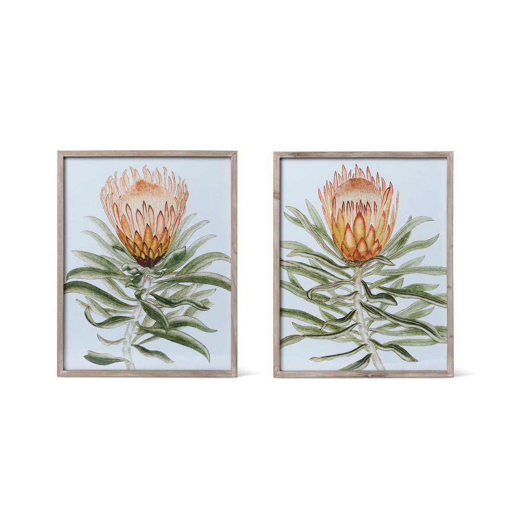 Protea Prints, 2 Assorted Styles - Bombay Mercantile
