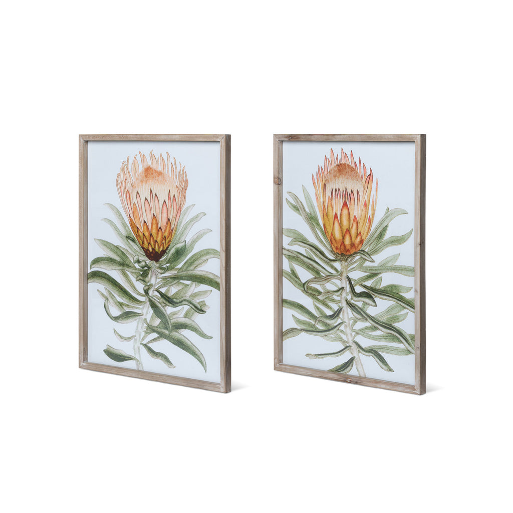 Protea Prints, 2 Assorted Styles - Bombay Mercantile