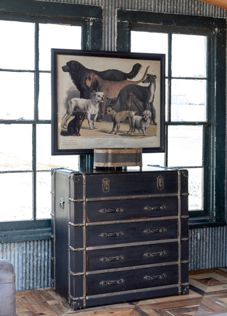 Domestic Dogs Framed Print - The Nifty Decor