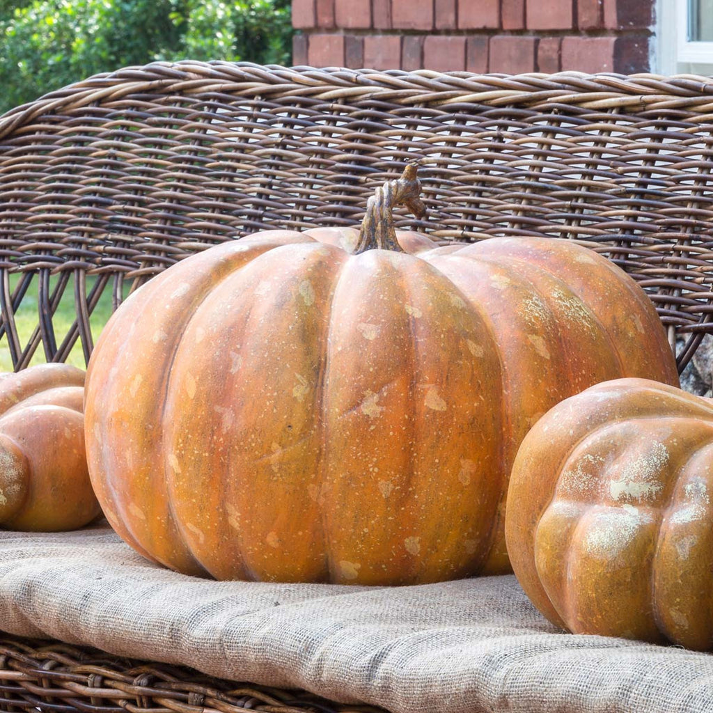 Big Papa Pumpkin - Bombay Mercantile