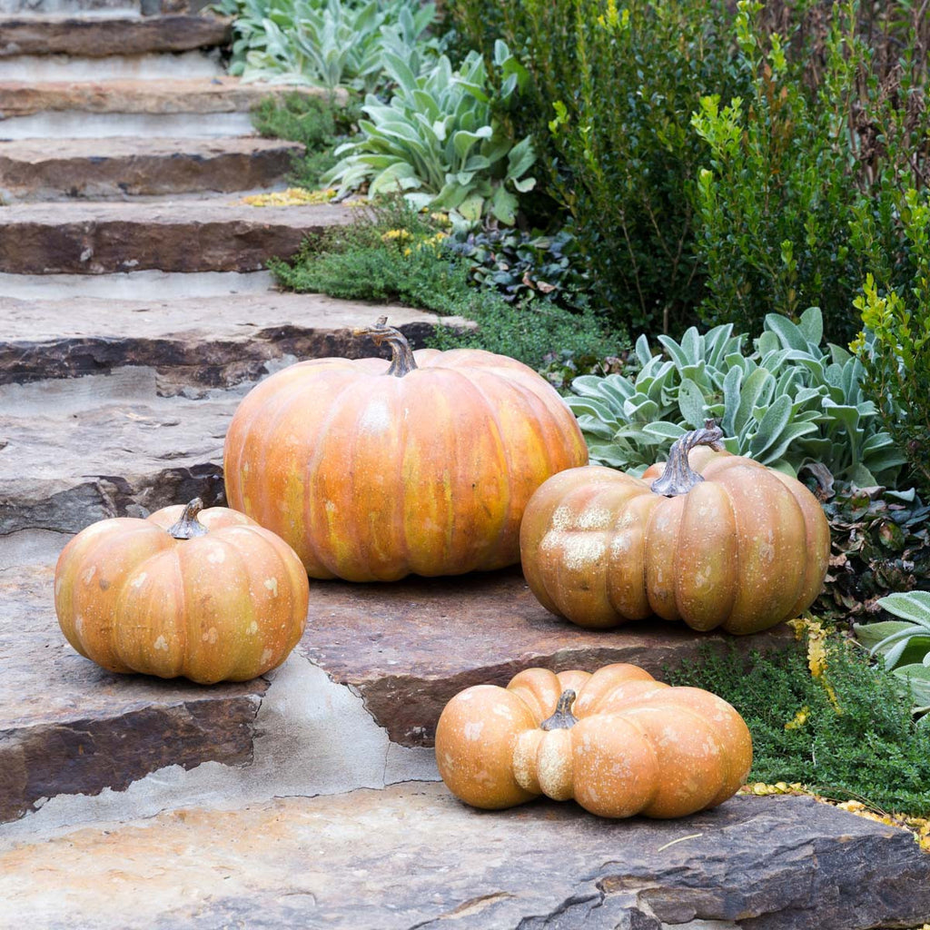 Big Papa Pumpkin - Bombay Mercantile