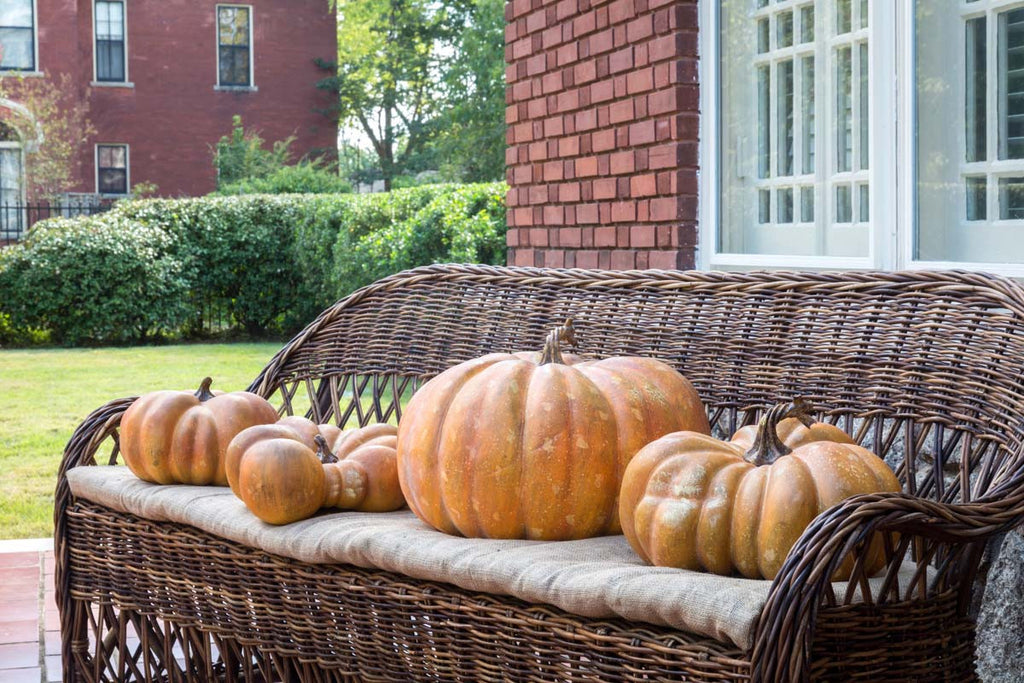 Big Papa Pumpkin - Bombay Mercantile