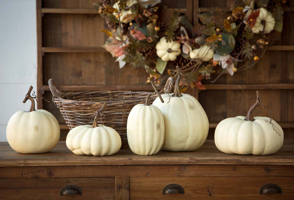 Full Moon Pumpkin Collection - Bombay Mercantile