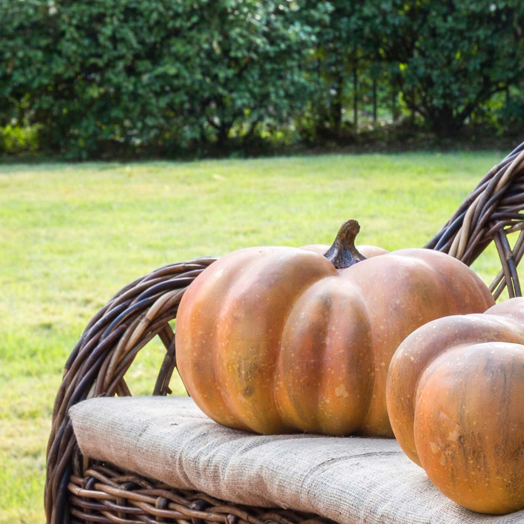 Sweet Baby Pumpkin - Bombay Mercantile