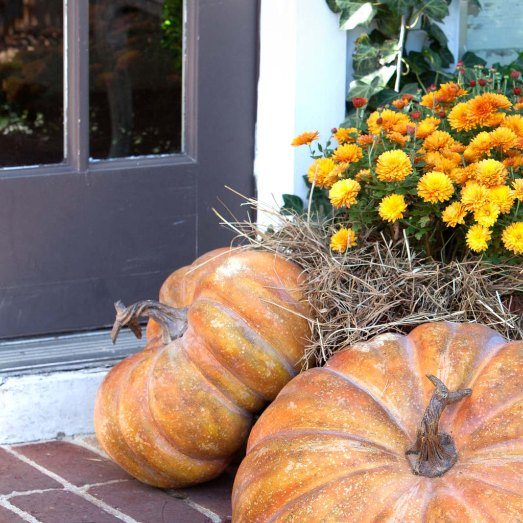 Pretty Mama Pumpkin - Bombay Mercantile
