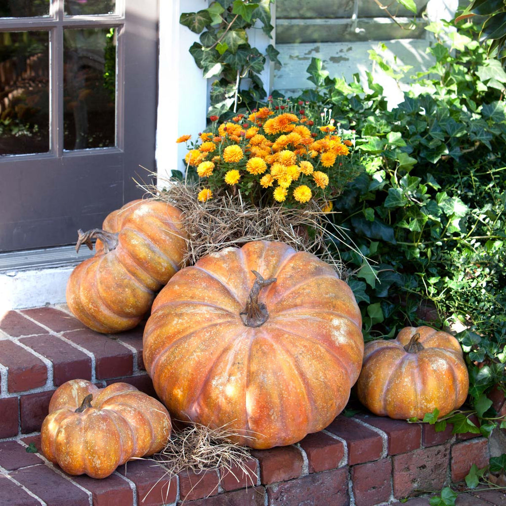 Pretty Mama Pumpkin - Bombay Mercantile