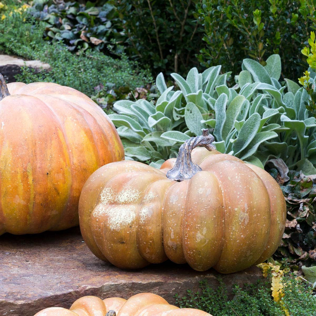 Pretty Mama Pumpkin - Bombay Mercantile
