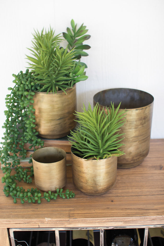 Aged brass finish pots , set of 4 - The Nifty Decor