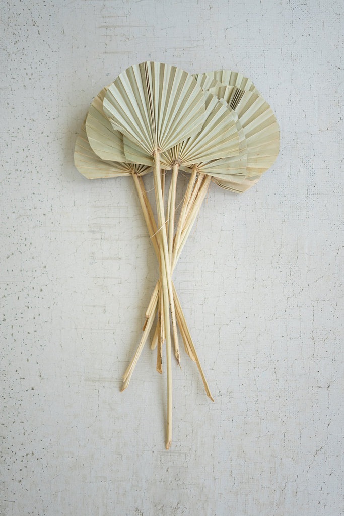 Bundle of 12 palm spears - Bombay Mercantile