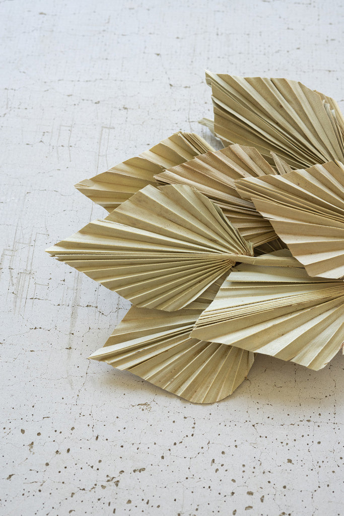 Bundle of 12 mini palm spears - Bombay Mercantile