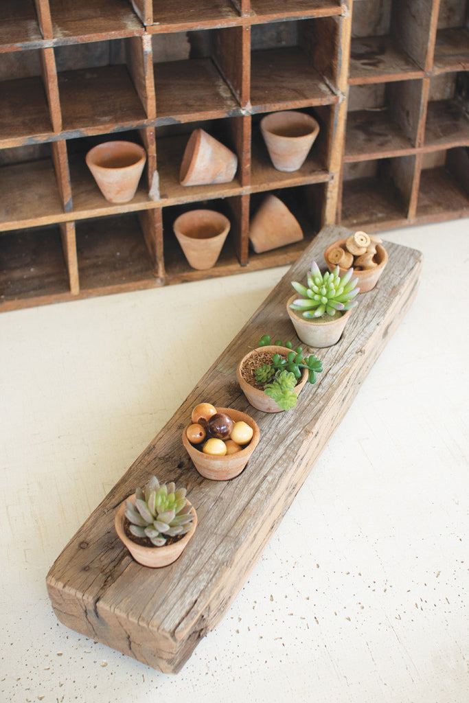 Recycled wooden base with five clay succulent holders - Bombay Mercantile