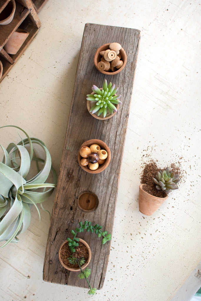 Recycled wooden base with five clay succulent holders - Bombay Mercantile