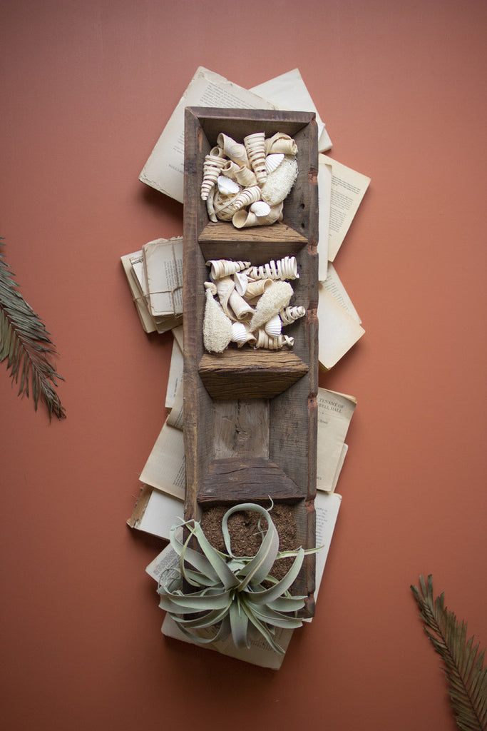 Four section recycled wood succulent tray - Bombay Mercantile