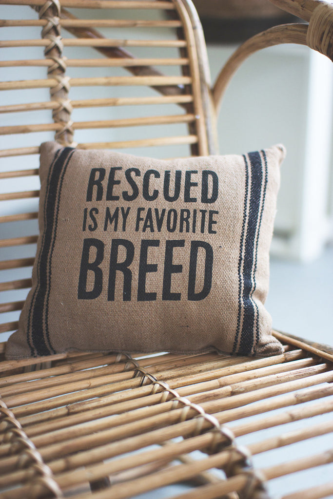 Pillow \ rescued - The Nifty Decor